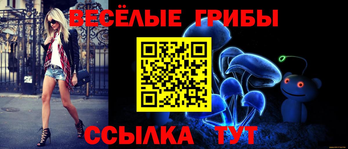 Благодарный  Псилоцибиновые грибы мухоморы  Вход с VPN  Псилоцибиновые грибы мухоморы 
