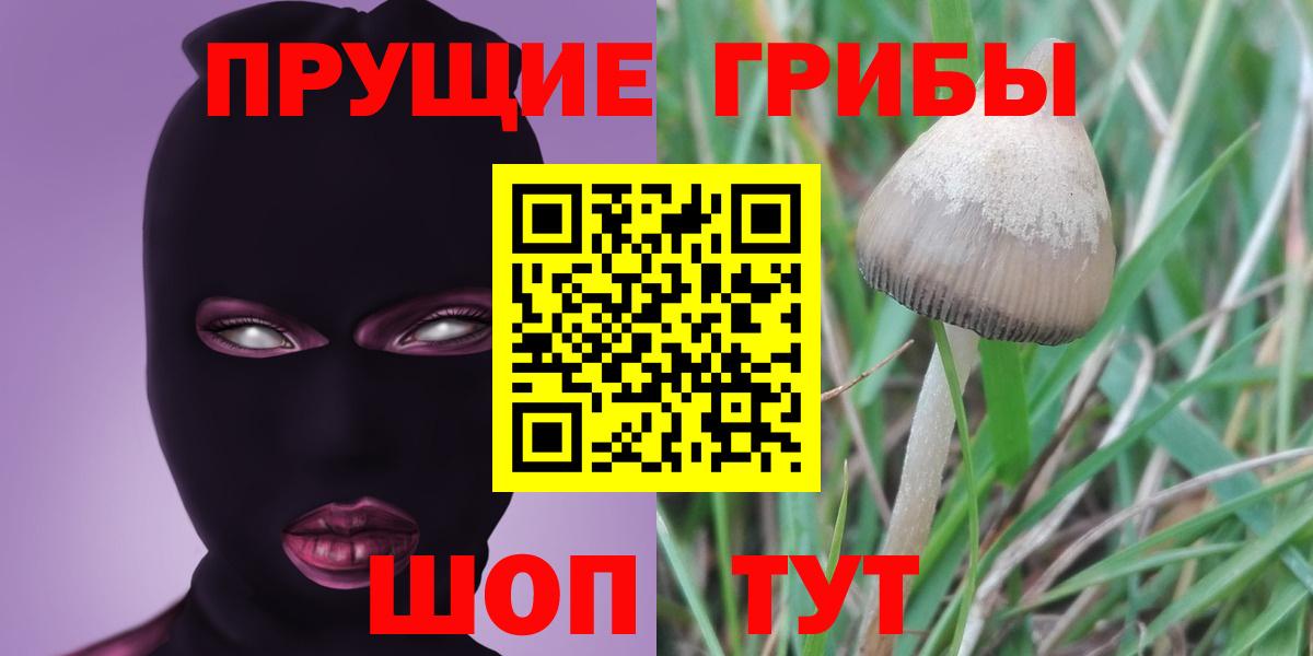 Псилоцибиновые грибы мицелий Благодарный